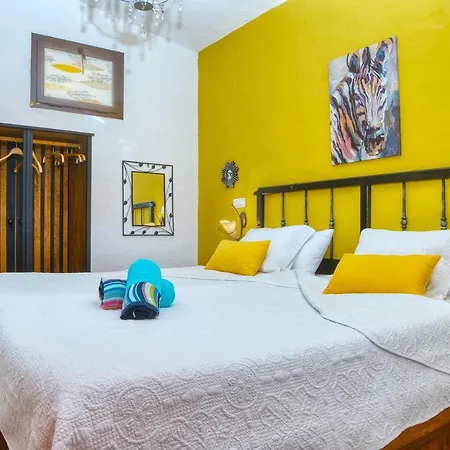 Casa Natura * San Bartolome (Las Palmas)