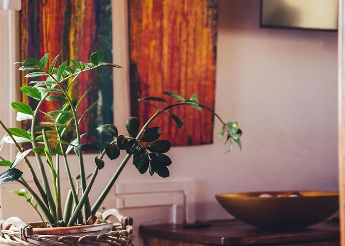 Casa Natura Alojamento de Acomodação e Pequeno-almoço